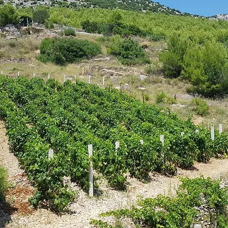 Pensión Vala Hrvaska Robinson Gornji Humac