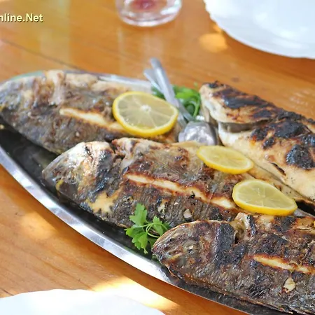 Vala Hrvaska Robinson Pensión Gornji Humac